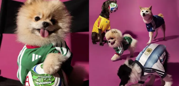 Colección de jerseys del Mundial 2026 para mascotas: ¡Viste a tu 'lomito' con estilo mundialista!