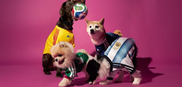 Colección de camisetas para mascotas: Adidas se suma al Mundial 2026