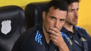 Nueva convocatoria de la Selección Argentina: renovación y sorpresas