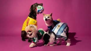 Colección de camisetas para mascotas: Adidas se suma al Mundial 2026